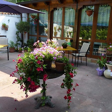 Casa Dodic Bed & Breakfast Триест Екстериор снимка